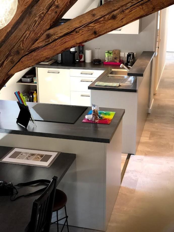 Apartment Spacious In The Heart Of The Center Lons-le-Saunier